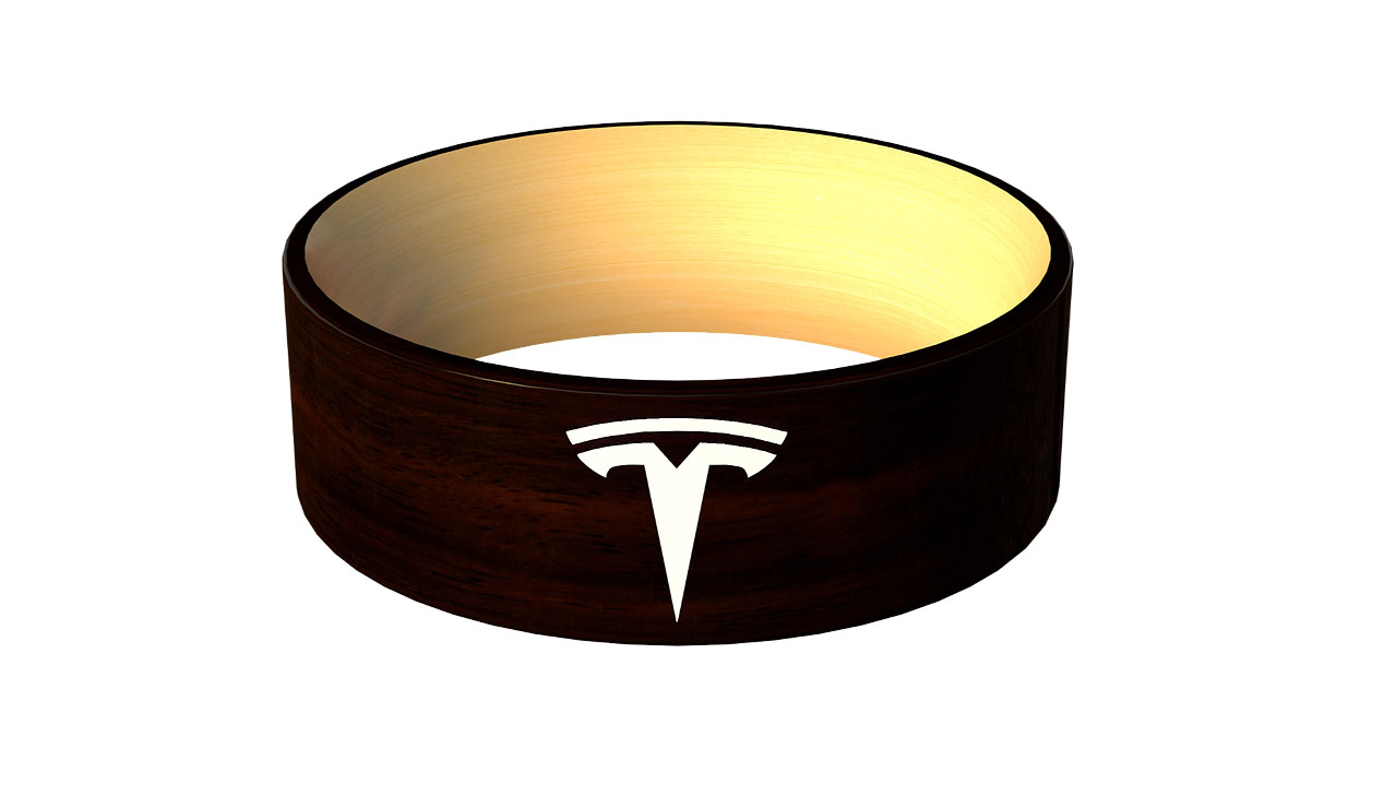 Tesla Key Ring